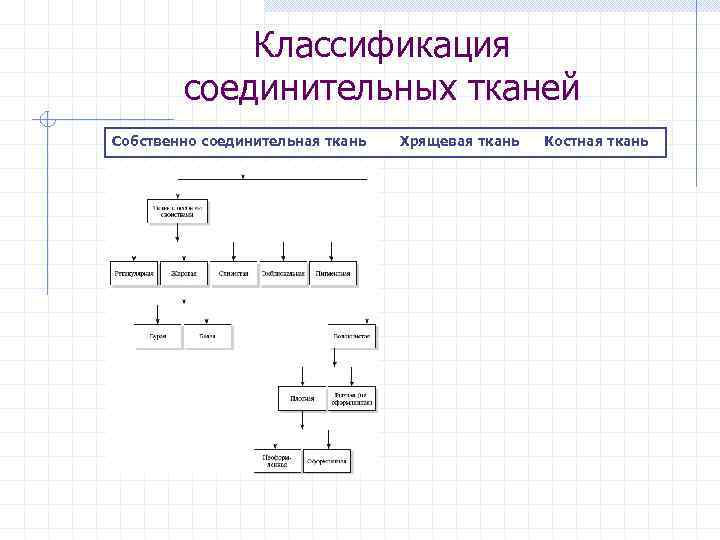 Классификация соединительных тканей Собственно соединительная ткань Хрящевая ткань Костная ткань 