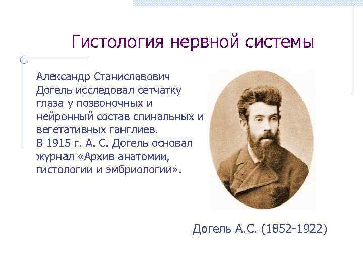 Гистология нервной системы Александр Станиславович Догель исследовал сетчатку глаза у позвоночных и нейронный состав