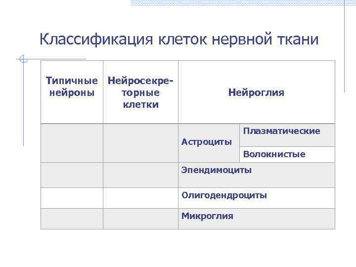 Классификация клеток нервной ткани Типичные нейроны Нейросекреторные клетки Нейроглия Астроциты Плазматические Волокнистые Эпендимоциты Олигодендроциты