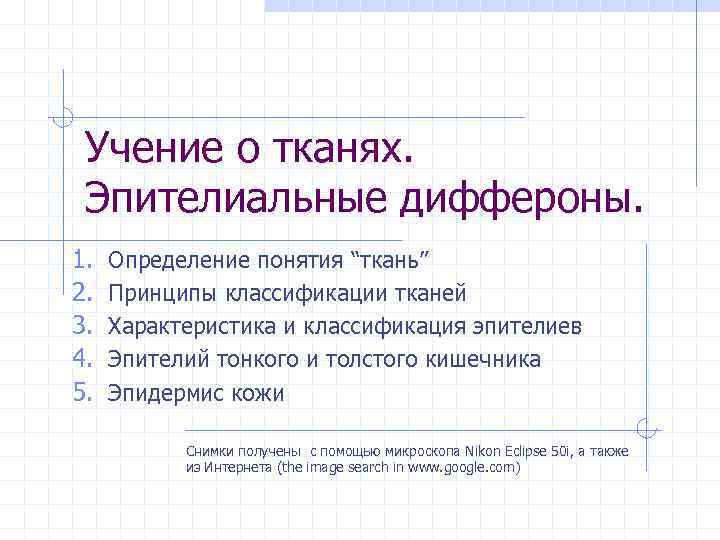 Учение о тканях. Эпителиальные диффероны. 1. 2. 3. 4. 5. Определение понятия “ткань” Принципы