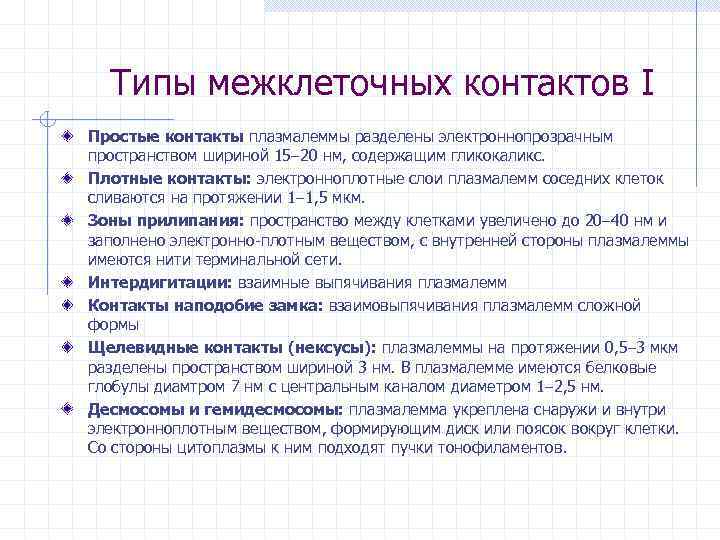 Типы межклеточных контактов I Простые контакты плазмалеммы разделены электроннопрозрачным пространством шириной 15 20 нм,