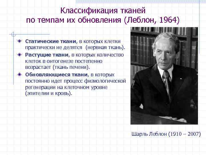 Классификация тканей по темпам их обновления (Леблон, 1964) Статические ткани, в которых клетки практически