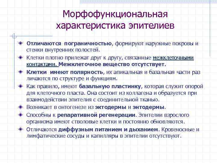 Морфофункциональная характеристика эпителиев Отличаются пограничностью, формируют наружные покровы и стенки внутренних полостей. Клетки плотно