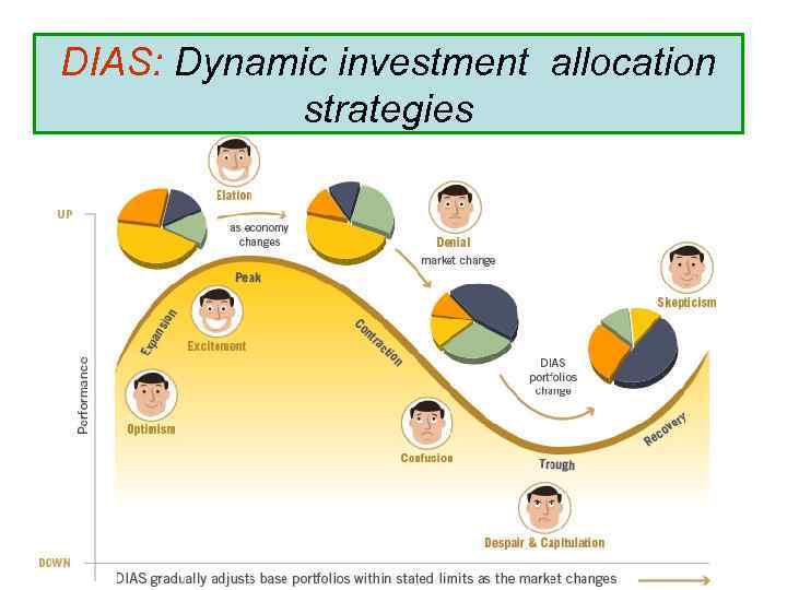 DIAS: Dynamic investment allocation strategies 