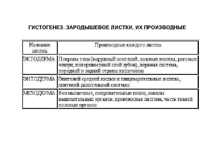 ГИСТОГЕНЕЗ. ЗАРОДЫШЕВОЕ ЛИСТКИ, ИХ ПРОИЗВОДНЫЕ 