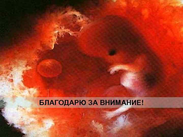БЛАГОДАРЮ ЗА ВНИМАНИЕ! 