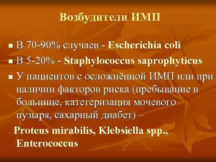 Возбудители ИМП В 70 -90% случаев - Escherichia coli n В 5 -20% -