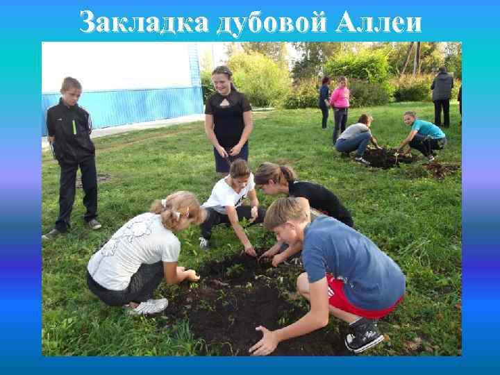 Закладка дубовой Аллеи 