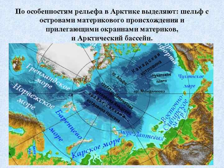 По особенностям рельефа в Арктике выделяют: шельф с островами материкового происхождения и прилегающими окраинами