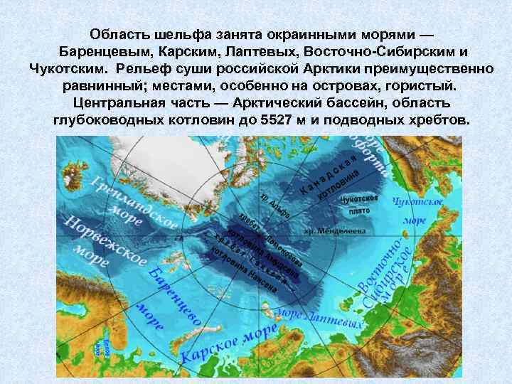Область шельфа занята окраинными морями — Баренцевым, Карским, Лаптевых, Восточно-Сибирским и Чукотским. Рельеф суши