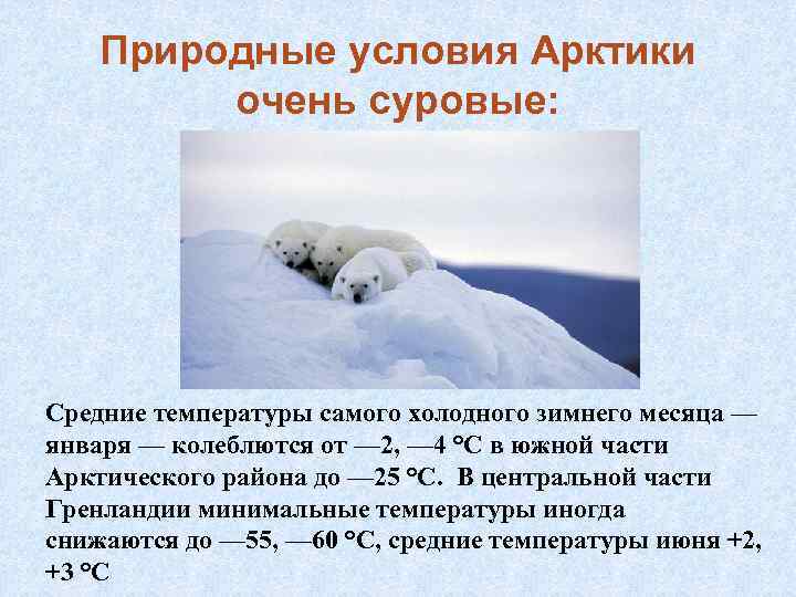 Природные условия Арктики очень суровые: Средние температуры самого холодного зимнего месяца — января —