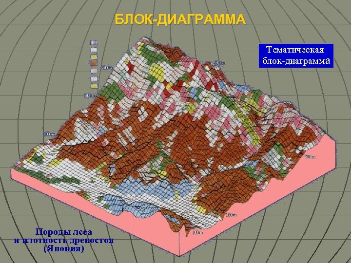 БЛОК-ДИАГРАММА Тематическая блок-диаграмма Породы леса и плотность древостоя (Япония) 