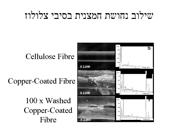  שילוב נחושת חמצנית בסיבי צלולוז b Cellulose Fibre X 2, 000 Copper-Coated Fibre