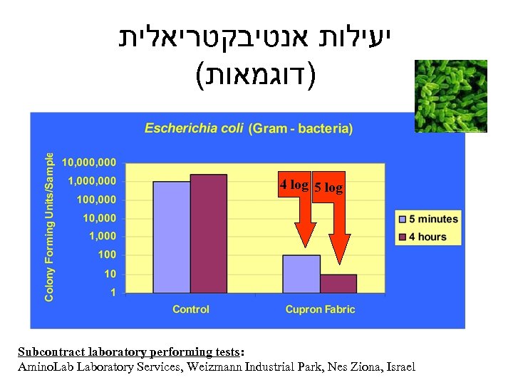  יעילות אנטיבקטריאלית ( )דוגמאות 4 log 5 log Subcontract laboratory performing tests: Amino.