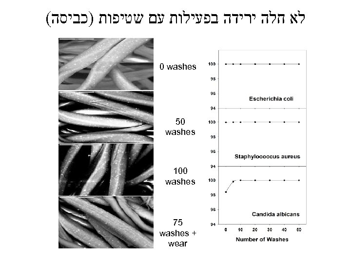  לא חלה ירידה בפעילות עם שטיפות )כביסה( 0 washes 05 washes 001 washes