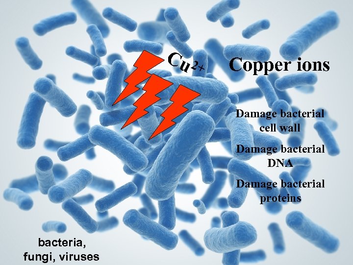 Cu 2+ Copper ions Damage bacterial cell wall Damage bacterial DNA Damage bacterial proteins