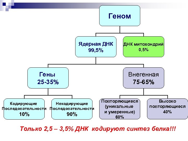 Карта генома человека