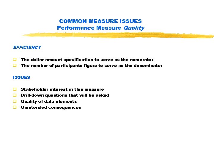 COMMON MEASURE ISSUES Performance Measure Quality EFFICIENCY q The dollar amount specification to serve