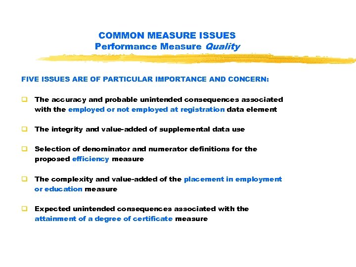 COMMON MEASURE ISSUES Performance Measure Quality FIVE ISSUES ARE OF PARTICULAR IMPORTANCE AND CONCERN: