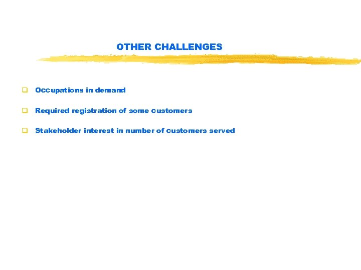 OTHER CHALLENGES q Occupations in demand q Required registration of some customers q Stakeholder