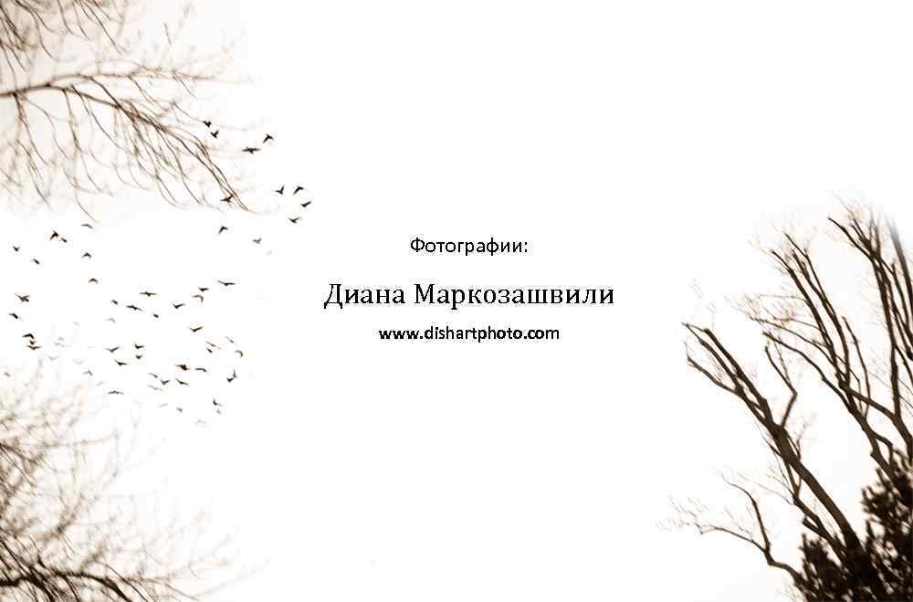 Фотографии: Диана Маркозашвили www. dishartphoto. com 
