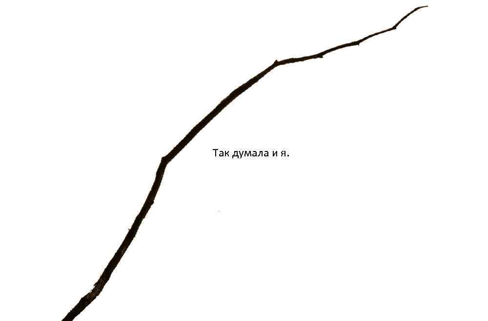 Так думала и я. 