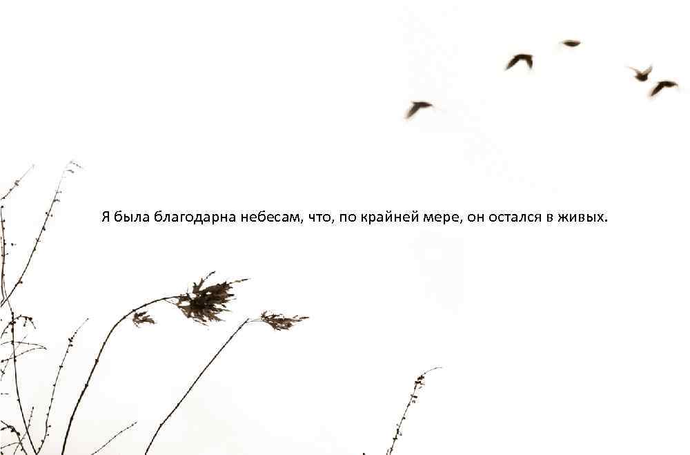 Я была благодарна небесам, что, по крайней мере, он остался в живых. 