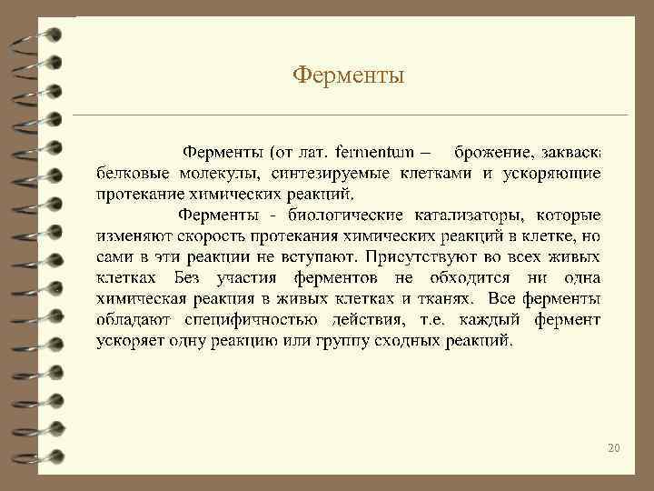 Ферменты 20 