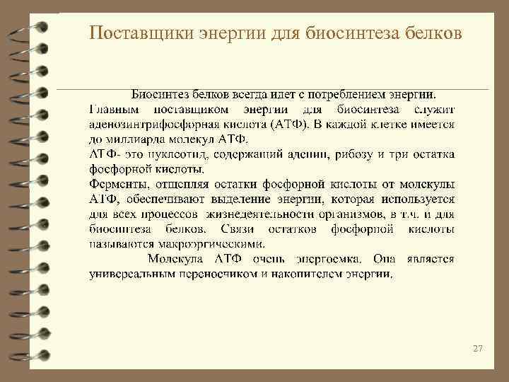 Поставщики энергии для биосинтеза белков 27 