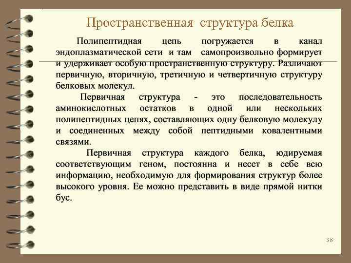 Пространственная структура белка 38 