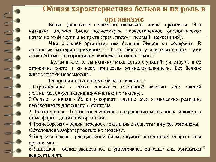 Общая характеристика белков и их роль в организме 5 