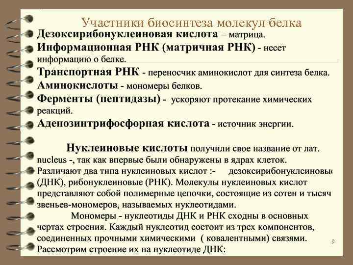 Участники биосинтеза молекул белка 9 