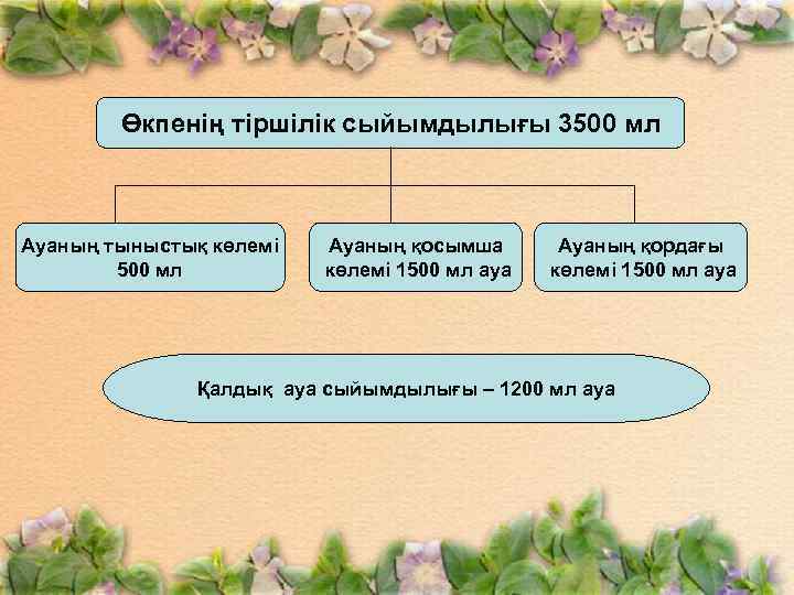 Өкпенің тіршілік сыйымдылығы 3500 мл Ауаның тыныстық көлемі 500 мл Ауаның қосымша көлемі 1500