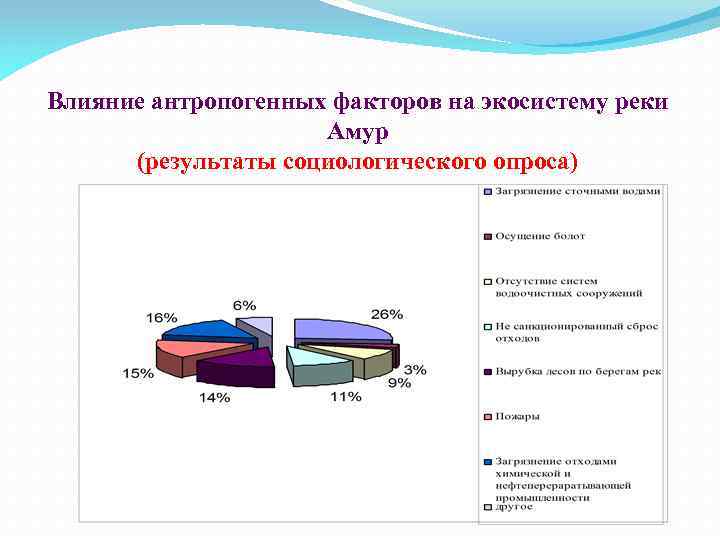 Влияние антропогенных факторов на экосистему реки Амур (результаты социологического опроса) 