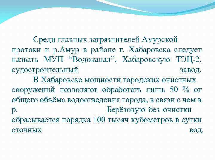 Среди главных загрязнителей Амурской протоки и р. Амур в районе г. Хабаровска следует назвать