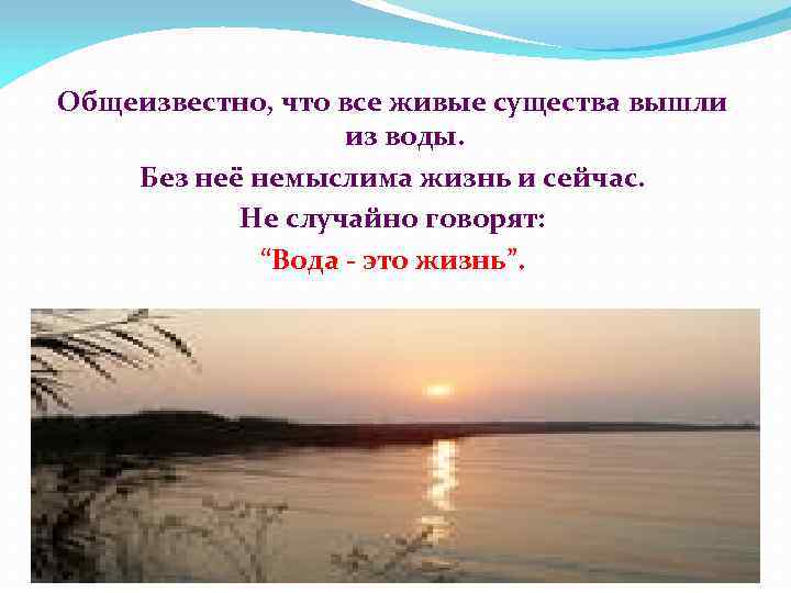 Общеизвестно, что все живые существа вышли из воды. Без неё немыслима жизнь и сейчас.