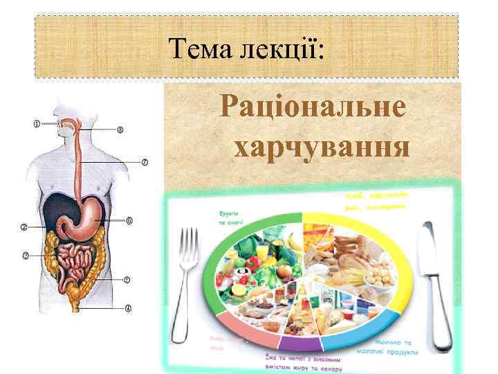 Тема лекції: Раціональне харчування 