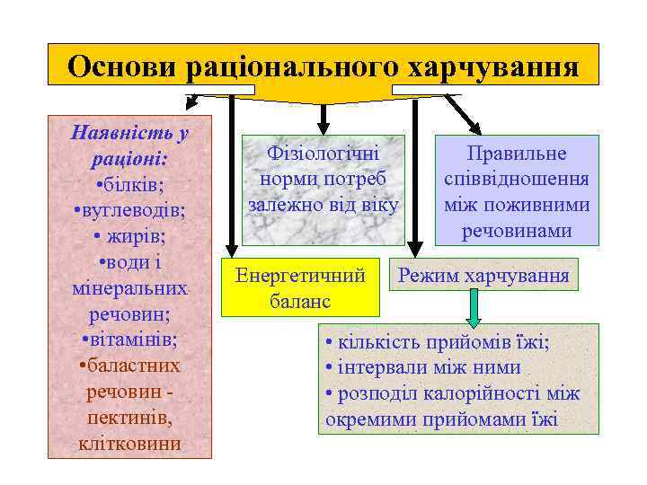 Основи раціонального харчування Наявність у раціоні: • білків; • вуглеводів; • жирів; • води