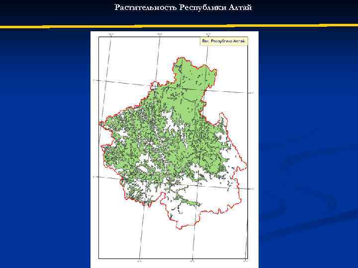 Растительность Республики Алтай 