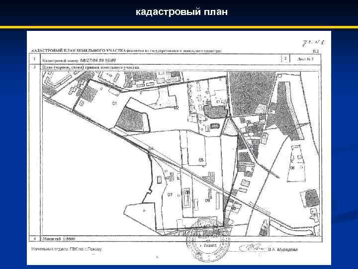 кадастровый план 