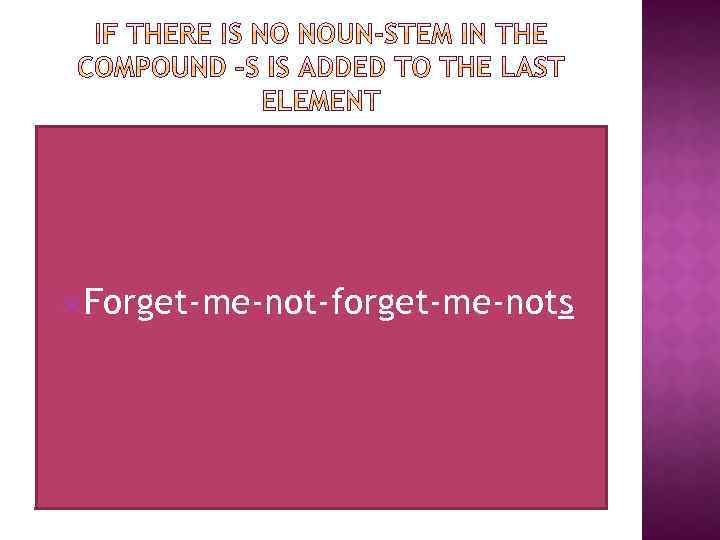  Forget-me-not-forget-me-nots 