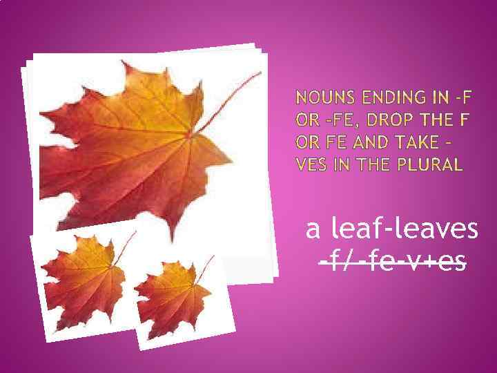 a leaf-leaves -f/-fe-v+es 