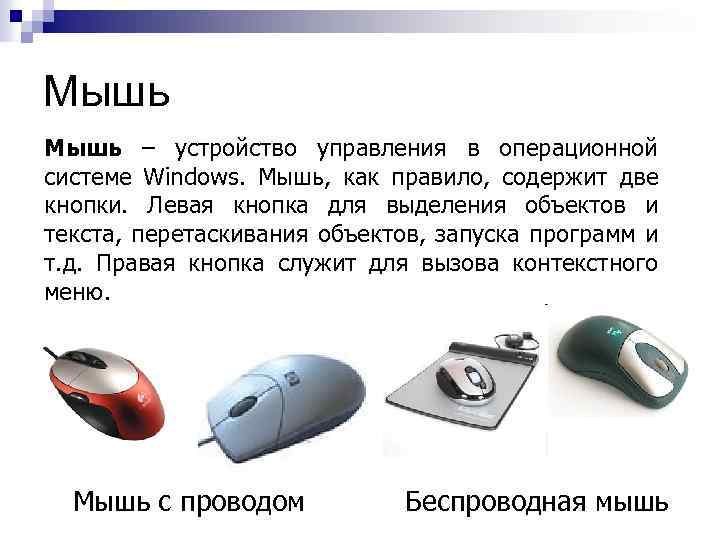 Мышь – устройство управления в операционной системе Windows. Мышь, как правило, содержит две кнопки.