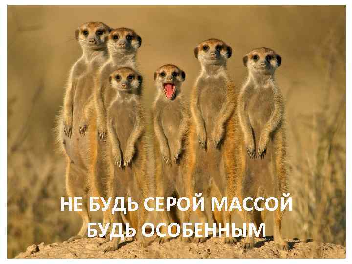 НЕ БУДЬ СЕРОЙ МАССОЙ БУДЬ ОСОБЕННЫМ 