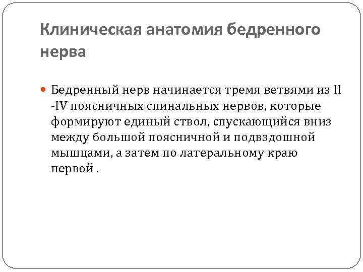 Клиническая анатомия бедренного нерва Бедренный нерв начинается тремя ветвями из II -IV поясничных спинальных