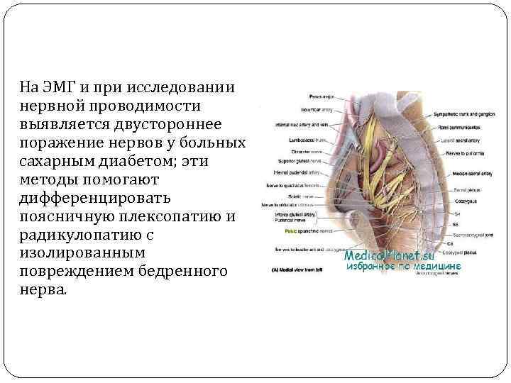 Защемление полового нерва у женщин