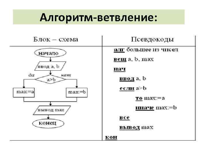 Алгоритм-ветвление: 