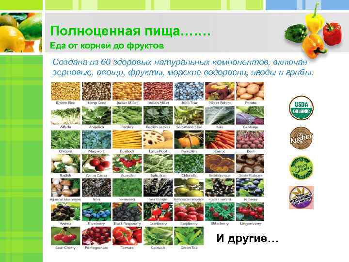 Полноценная пища……. Еда от корней до фруктов Создана из 60 здоровых натуральных компонентов, включая