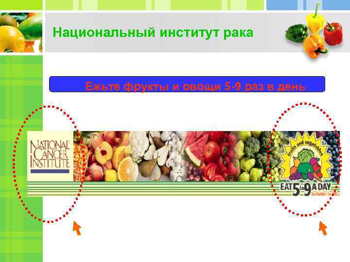 Национальный институт рака Ежьте фрукты и овощи 5 -9 раз в день 