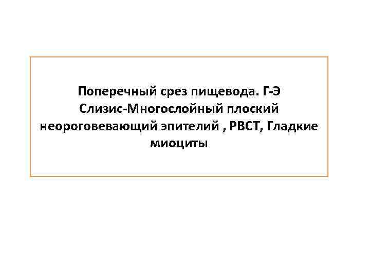 Поперечный срез пищевода. Г-Э Слизис-Многослойный плоский неороговевающий эпителий , РВСТ, Гладкие миоциты 